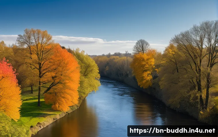 불교에서의 수양법 관련 이미지 2